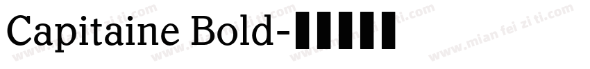 Capitaine Bold字体转换